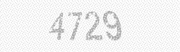 Visual security code — type the characters shown in the image